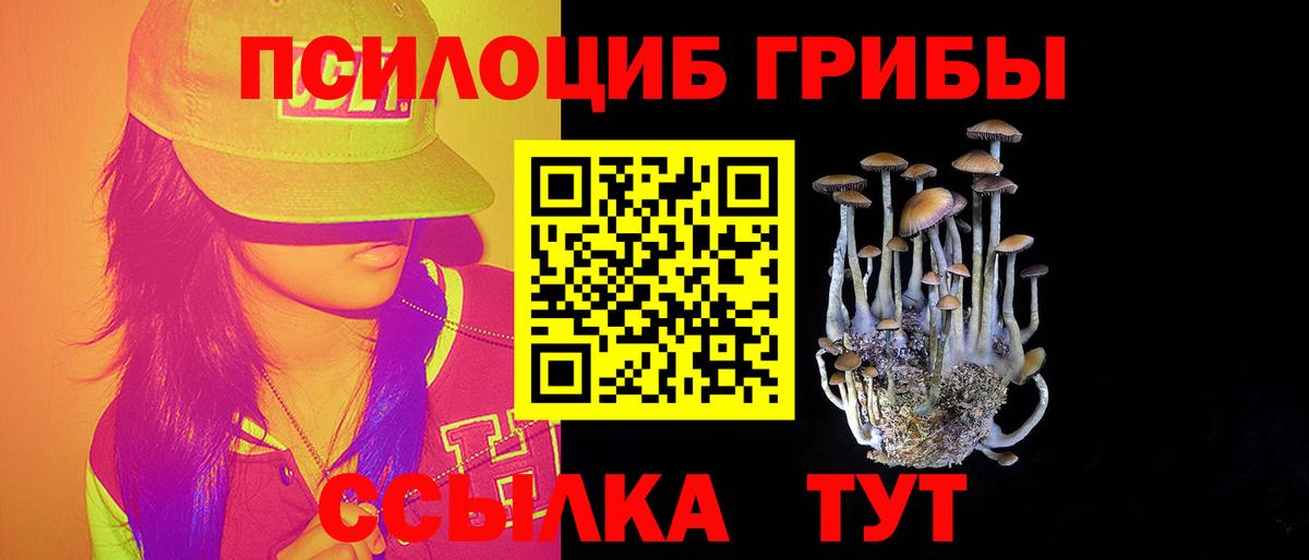 что такое   Вход с VPN  Кириши  Псилоцибиновые грибы MAGIC MUSHROOMS 